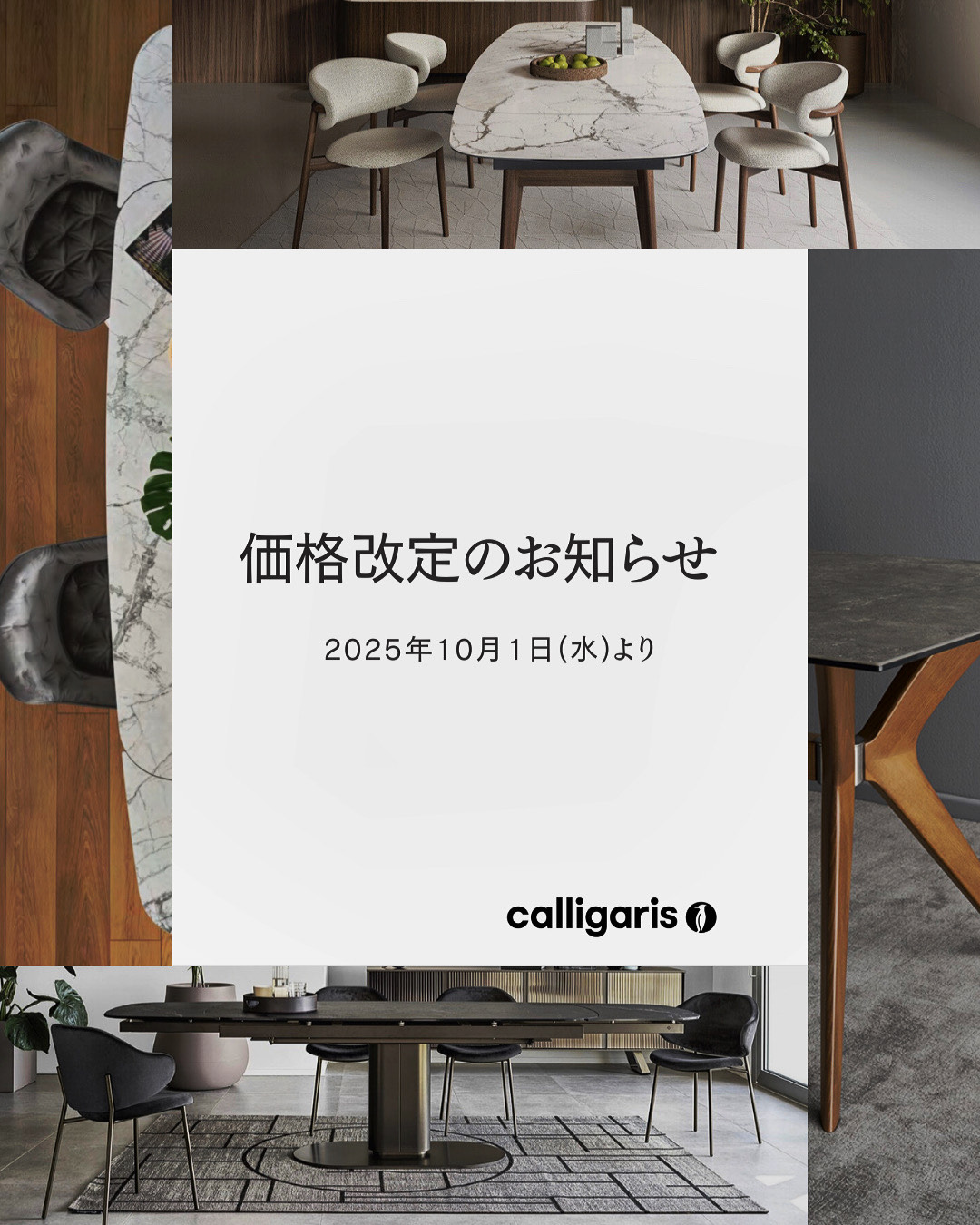 2025年10月1日より Calligaris(カリガリス)connubia (コヌビア) 価格改定のお知らせ